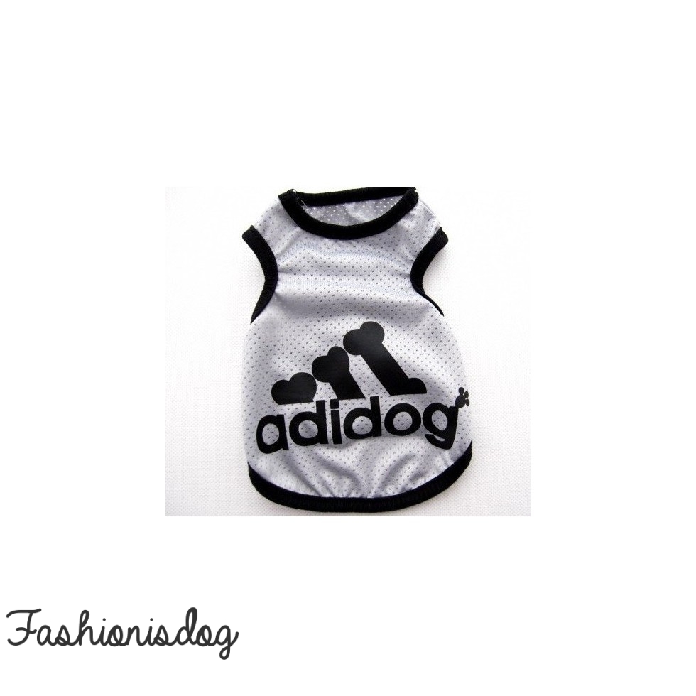 pull adidas chien