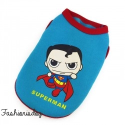 Sweat super héros Superman