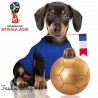 T-shirt EURO 2016 bleu Noox