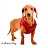 Harnais Puppia Terry rouge