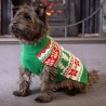 Pull de Noël pour chien col roulé – Tricot chaud House of Paws