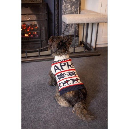 Pull “Après-Ski” pour chien – Col roulé chaud et style hivernal