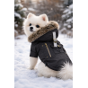 Manteau pour chien noir Coup d’État Puppia – Capuche fourrure & manteau chaud