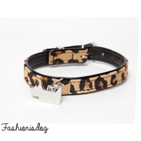 COLLIER LEOPARD DOGS DEPARTMENT