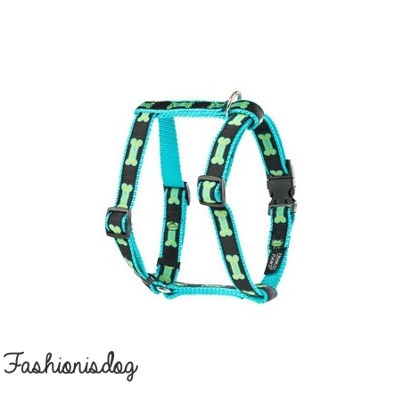 Harnais Woof House of Paws turquoise