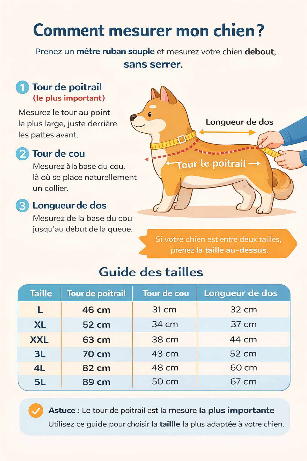 ChatGPT Image 30 déc- 2025, 07_55_29.png